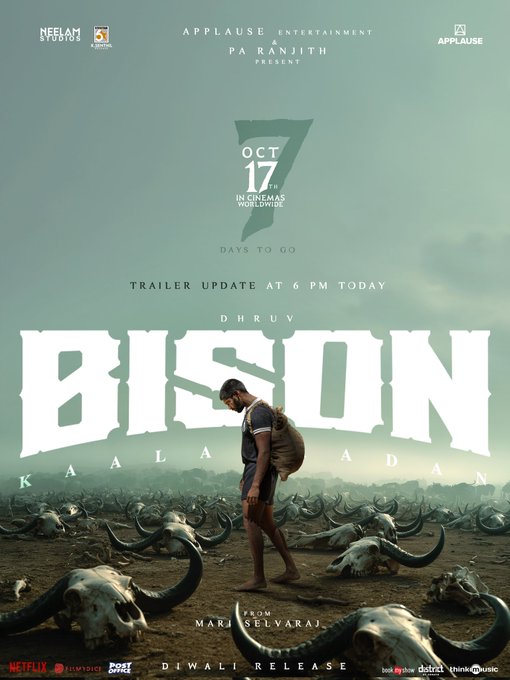 Bison